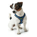 Dog Harness Hunter Hilo-Comfort Blue Size S (42-48 cm) - Домашни Животни<<<Дом Градина<<<BigBuy&&&Пътуване и