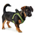 Dog Harness Hunter Hilo-Comfort Lime M (55-60 cm) - Домашни Животни<<<Дом Градина<<<BigBuy&&&Пътуване и