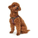 Dog Harness Hunter Hilo-Comfort XS-S Red (37-42 cm) - Домашни Животни<<<Дом Градина<<<BigBuy&&&Пътуване и