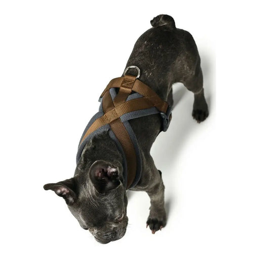 Dog Harness Hunter London Comfort 48-56 cm Brown Size S/M - Домашни Животни<<<Дом Градина<<<BigBuy&&&Пътуване и