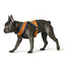 Dog Harness Hunter London Comfort 48-56 cm Orange Size S/M - Домашни Животни<<<Дом Градина<<<BigBuy&&&Пътуване и