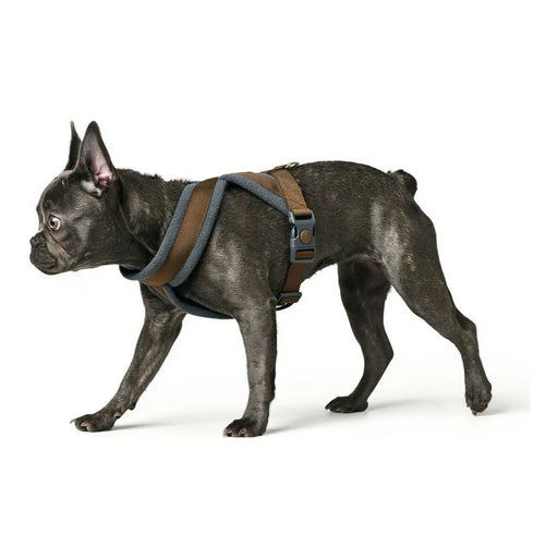 Dog Harness Hunter London Comfort 52-62 cm Brown Size S/M - Домашни Животни<<<Дом Градина<<<BigBuy&&&Пътуване и