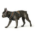 Dog Harness Hunter London Comfort 52-62 cm Brown Size S/M - Домашни Животни<<<Дом Градина<<<BigBuy&&&Пътуване и