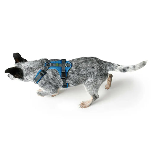 Dog Harness Hunter Maldon Up Blue 46-82 cm S/M - Домашни Животни<<<Дом Градина<<<BigBuy&&&Пътуване и разходки<<<Домашни