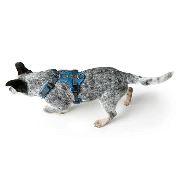 Dog Harness Hunter Maldon Up Blue 66-118 cm - Домашни Животни<<<Дом Градина<<<BigBuy&&&Пътуване и разходки<<<Домашни