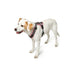 Dog Harness Hunter Pink 31-49 cm - Домашни Животни<<<Дом Градина<<<BigBuy&&&Пътуване и разходки<<<Домашни Животни<<<Дом