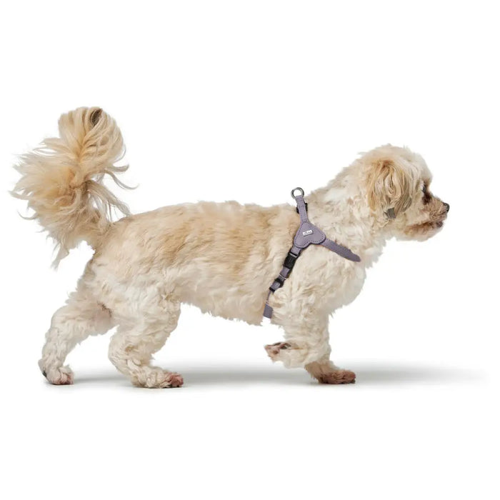Dog Harness Hunter SOHO MINI Lilac XS - Домашни Животни<<<Дом Градина<<<BigBuy&&&Пътуване и разходки<<<Домашни