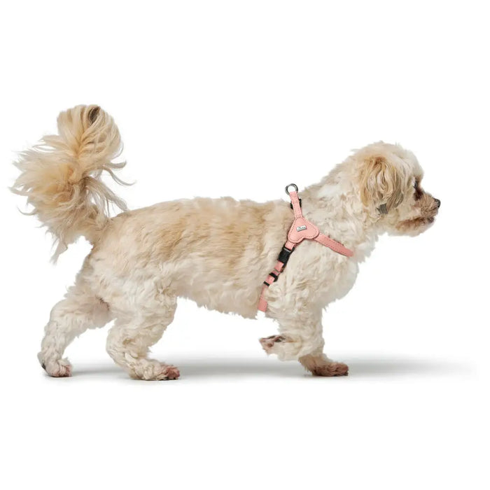 Dog Harness Hunter SOHO MINI Pink - Домашни Животни<<<Дом Градина<<<BigBuy&&&Пътуване и разходки<<<Домашни