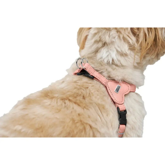 Dog Harness Hunter SOHO MINI Pink - Домашни Животни<<<Дом Градина<<<BigBuy&&&Пътуване и разходки<<<Домашни