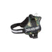 Dog Harness Julius K9 3 - Пътуване и разходки<<<Домашни Животни<<<Дом Градина<<<BigBuy
