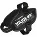 Dog Harness Julius K9 IDC Black S - Пътуване и разходки<<<Домашни Животни<<<Дом Градина<<<BigBuy