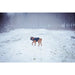 Dog Harness Julius K9 IDC L/XL 2 - Домашни Животни<<<Дом Градина<<<BigBuy&&&Пътуване и разходки<<<Домашни Животни<<<Дом