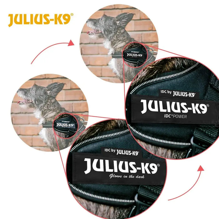Dog Harness Julius K9 IDC Red S - Mini - Домашни Животни<<<Дом Градина<<<BigBuy&&&Пътуване и разходки<<<Домашни