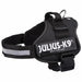 Dog Harness Julius K9 Power Black L 1 - Пътуване и разходки<<<Домашни Животни<<<Дом Градина<<<BigBuy