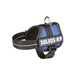 Dog Harness Julius K9 Power Blue 1 Baby 1 (XS) - Домашни Животни<<<Дом Градина<<<BigBuy&&&Пътуване и разходки<<<Домашни