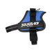 Dog Harness Julius K9 Power Blue M - Пътуване и разходки<<<Домашни Животни<<<Дом Градина<<<BigBuy