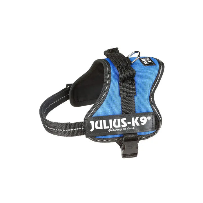 Dog Harness Julius K9 Power Blue S - Домашни Животни<<<Дом Градина<<<BigBuy&&&Пътуване и разходки<<<Домашни