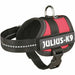 Dog Harness Julius K9 Power Red 1 Baby 1 (XS) - Домашни Животни<<<Дом Градина<<<BigBuy&&&Пътуване и разходки<<<Домашни