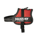 Dog Harness Julius K9 Power Red 2 Baby 2 (XS/S) - Домашни Животни<<<Дом Градина<<<BigBuy&&&Пътуване и