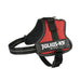 Dog Harness Julius K9 Power Red S - Домашни Животни<<<Дом Градина<<<BigBuy&&&Пътуване и разходки<<<Домашни
