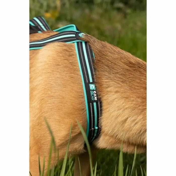 Dog Harness Olympia S - Домашни Животни<<<Дом Градина<<<BigBuy&&&Пътуване и разходки<<<Домашни Животни<<<Дом