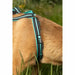 Dog Harness Olympia S - Домашни Животни<<<Дом Градина<<<BigBuy&&&Пътуване и разходки<<<Домашни Животни<<<Дом