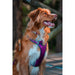 Dog Harness Red Dingo Dingo 38-58 cm 46-63 cm Purple M - Домашни Животни<<<Дом Градина<<<BigBuy&&&Пътуване и