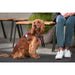 Dog Harness Red Dingo Dingo 38-58 cm 46-63 cm Purple M - Домашни Животни<<<Дом Градина<<<BigBuy&&&Пътуване и