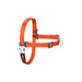 Dog Harness Red Dingo 50-70 cm Orange M - Домашни Животни<<<Дом Градина<<<BigBuy&&&Пътуване и разходки<<<Домашни