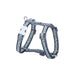 Dog Harness Red Dingo On Cool 25-39 cm Grey - Домашни Животни<<<Дом Градина<<<BigBuy&&&Пътуване и разходки<<<Домашни