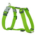 Dog Harness Red Dingo Smooth Lime - Домашни Животни<<<Дом Градина<<<BigBuy&&&Пътуване и разходки<<<Домашни