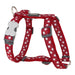 Dog Harness Red Dingo Style Red Star 25-39 cm - Домашни Животни<<<Дом Градина<<<BigBuy&&&Пътуване и разходки<<<Домашни