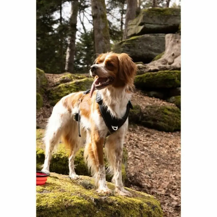 Dog Harness SYMBIOZ Black M - Домашни Животни<<<Дом Градина<<<BigBuy&&&Пътуване и разходки<<<Домашни Животни<<<Дом