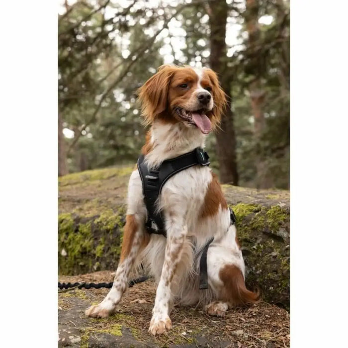 Dog Harness SYMBIOZ Black M - Домашни Животни<<<Дом Градина<<<BigBuy&&&Пътуване и разходки<<<Домашни Животни<<<Дом