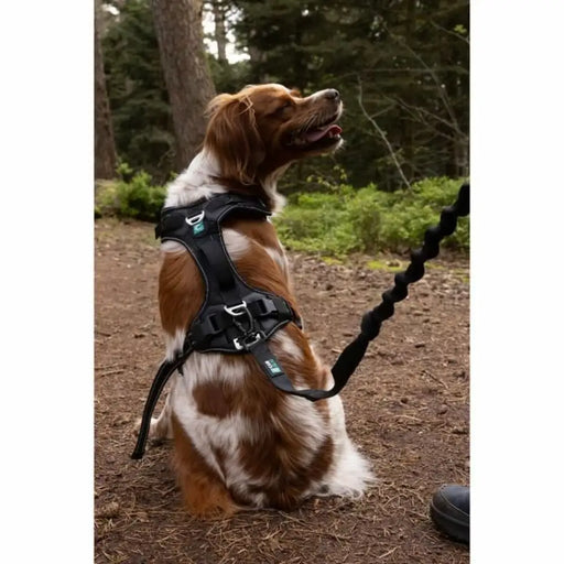 Dog Harness SYMBIOZ Black XXS - Домашни Животни<<<Дом Градина<<<BigBuy&&&Пътуване и разходки<<<Домашни Животни<<<Дом