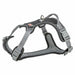 Dog Harness Trixie Active Premium Black L - Домашни Животни<<<Дом Градина<<<BigBuy&&&Пътуване и разходки<<<Домашни