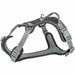 Dog Harness Trixie Active Premium Black M/L - Пътуване и разходки<<<Домашни Животни<<<Дом Градина<<<BigBuy