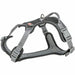 Dog Harness Trixie Active Premium Black S/M - Домашни Животни<<<Дом Градина<<<BigBuy&&&Пътуване и разходки<<<Домашни