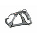 Dog Harness Trixie Active Premium Black XS/S - Домашни Животни<<<Дом Градина<<<BigBuy&&&Пътуване и разходки<<<Домашни