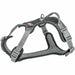 Dog Harness Trixie Active Premium Black XS/S - Домашни Животни<<<Дом Градина<<<BigBuy&&&Пътуване и разходки<<<Домашни