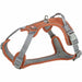 Dog Harness Trixie Active Premium Orange M - Домашни Животни<<<Дом Градина<<<BigBuy&&&Пътуване и разходки<<<Домашни