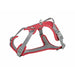 Dog Harness Trixie Active Premium Red S/M - Домашни Животни<<<Дом Градина<<<BigBuy&&&Пътуване и разходки<<<Домашни