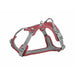 Dog Harness Trixie Active Premium Red S XS/S - Домашни Животни<<<Дом Градина<<<BigBuy&&&Пътуване и разходки<<<Домашни