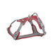 Dog Harness Trixie Active Red M - Домашни Животни<<<Дом Градина<<<BigBuy&&&Пътуване и разходки<<<Домашни Животни<<<Дом