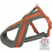 Dog Harness Trixie Confort Premium Orange XS/S - Домашни Животни<<<Дом Градина<<<BigBuy&&&Пътуване и разходки<<<Домашни