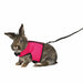 Dog Harness Trixie - Домашни Животни<<<Дом Градина<<<BigBuy&&&Здраве и хигиена<<<Домашни Животни<<<Дом Градина<<<BigBuy