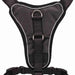 Dog Harness Trixie Premium Black XXS/XS - Домашни Животни<<<Дом Градина<<<BigBuy&&&Пътуване и разходки<<<Домашни