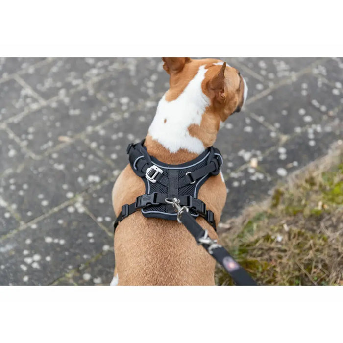 Dog Harness Trixie Premium FlexMesh Black M - Домашни Животни<<<Дом Градина<<<BigBuy&&&Пътуване и разходки<<<Домашни
