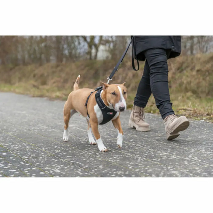 Dog Harness Trixie Premium FlexMesh Black S-M - Домашни Животни<<<Дом Градина<<<BigBuy&&&Пътуване и разходки<<<Домашни
