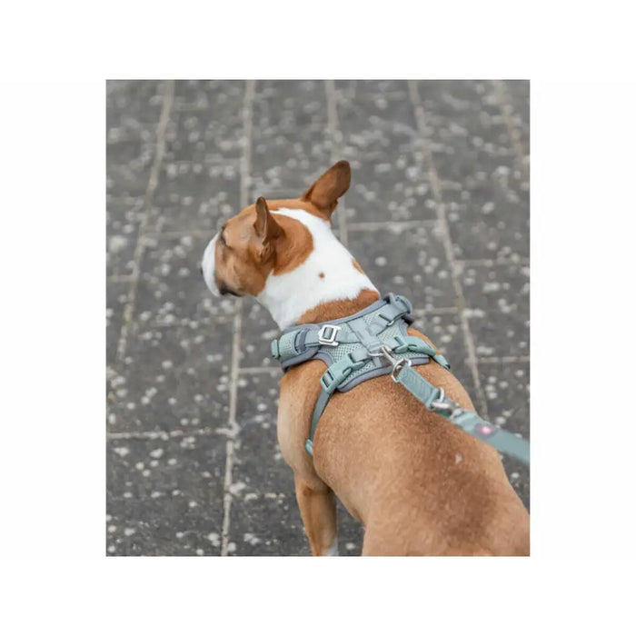 Dog Harness Trixie Premium FlexMesh L - Домашни Животни<<<Дом Градина<<<BigBuy&&&Пътуване и разходки<<<Домашни